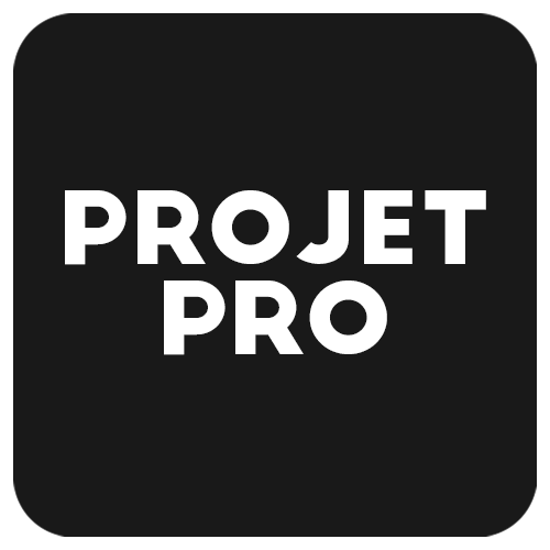 Projet professionnel